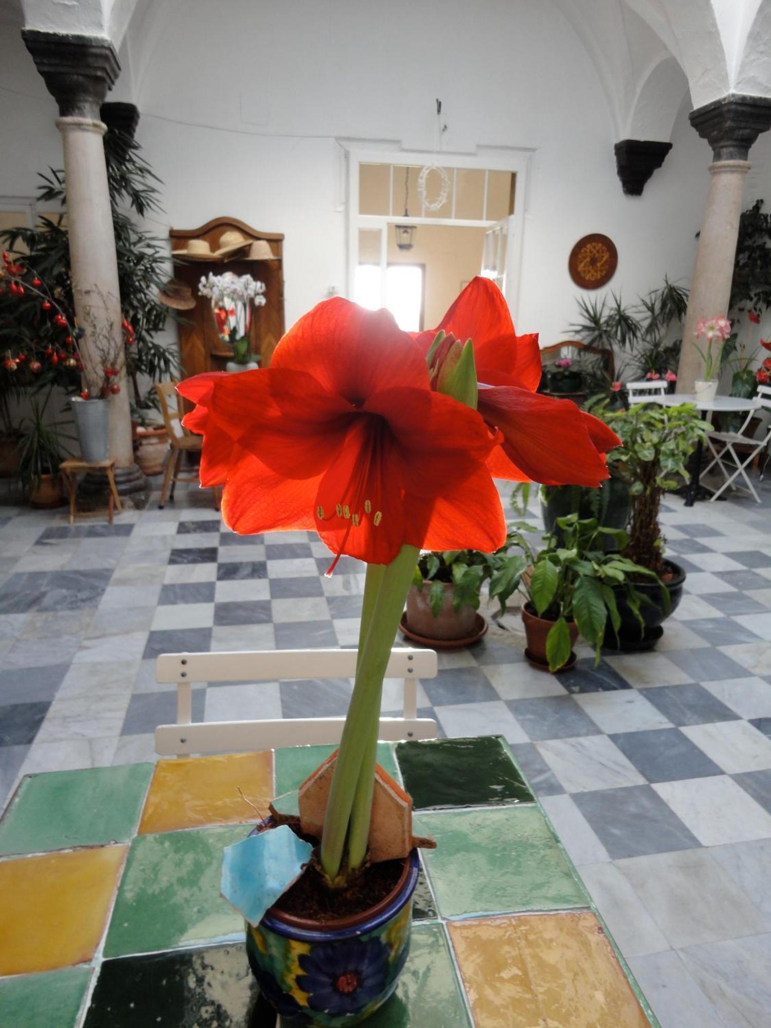 Hotel La Casa Grande Arcos de la Frontera Zewnętrze zdjęcie