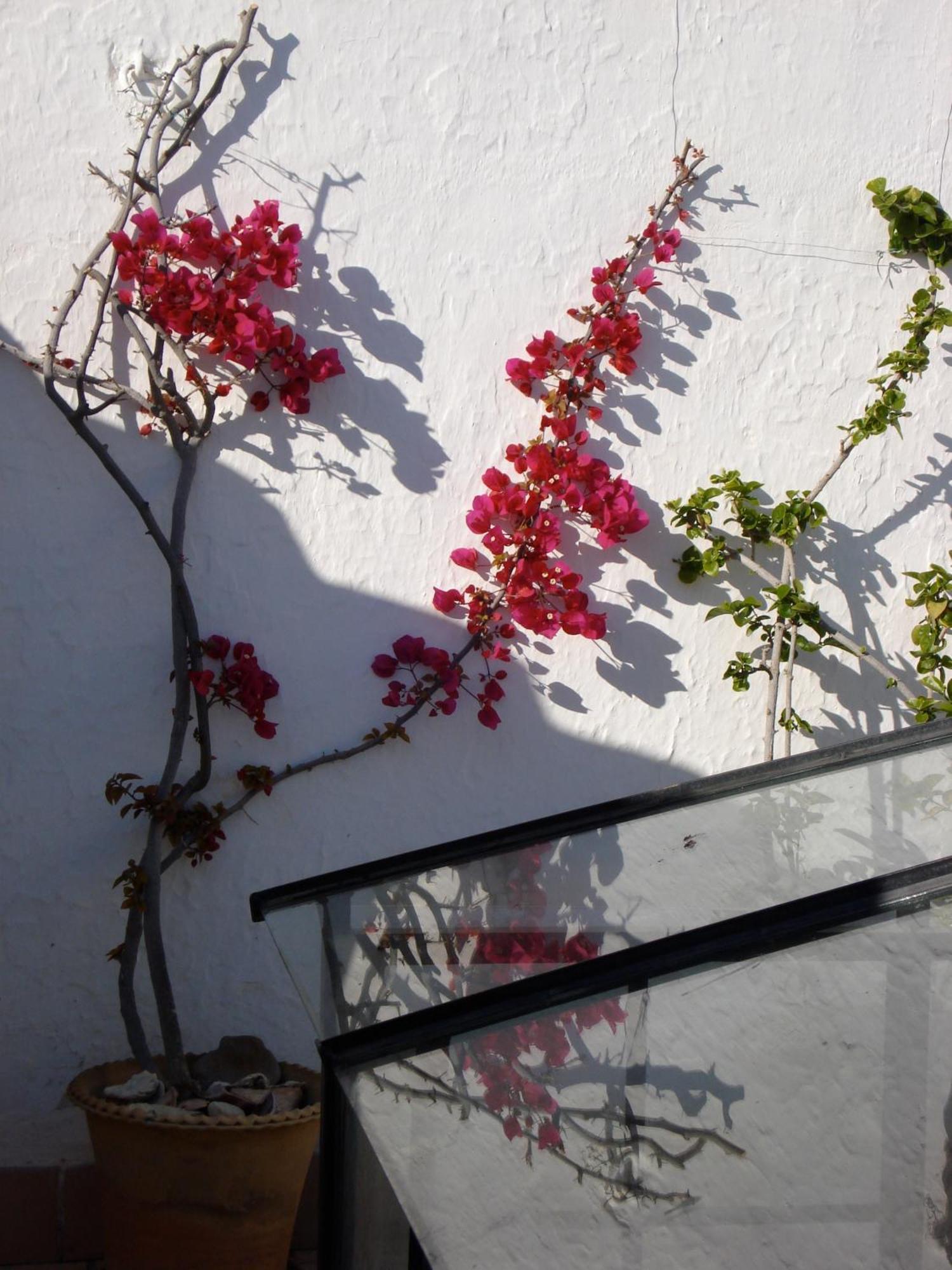 Hotel La Casa Grande Arcos de la Frontera Zewnętrze zdjęcie